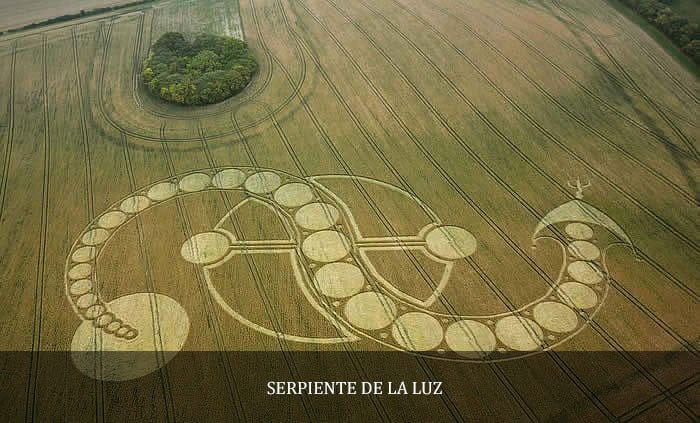 Misteriosos círculos en los cultivos del planeta