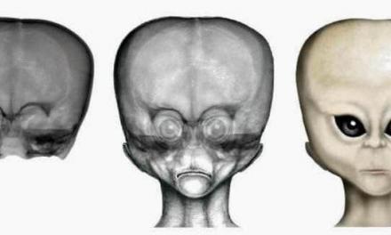El niño de las estrellas: un cráneo con origen desconocido