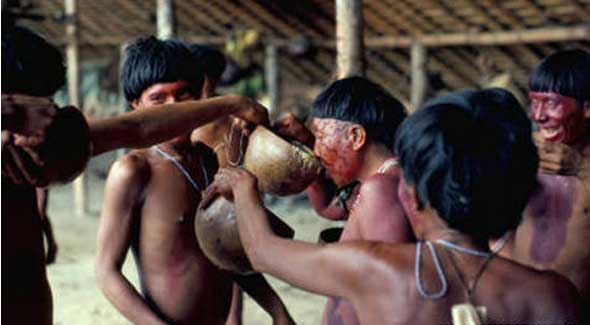 Yanomamis bebiendo la sopa de plátano