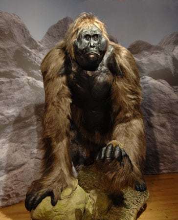 Gigantopithecus: La leyenda de el Yeti