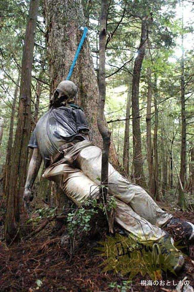 El Bosque Aokigahara, suicidas