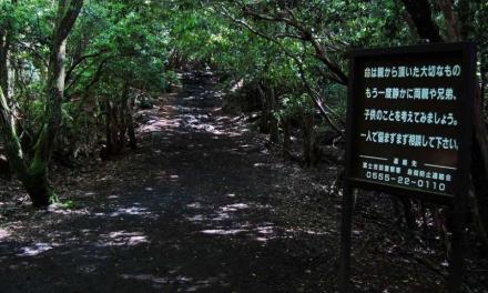 El Bosque Aokigahara, un lugar perfecto para morir