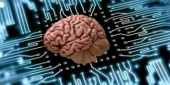 proyecto blue brain: cerebro simulado
