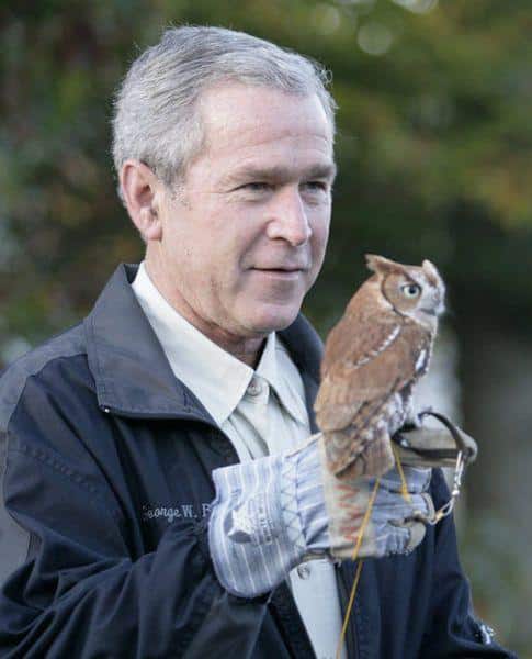 Geroge Bush y su relación con los buhos