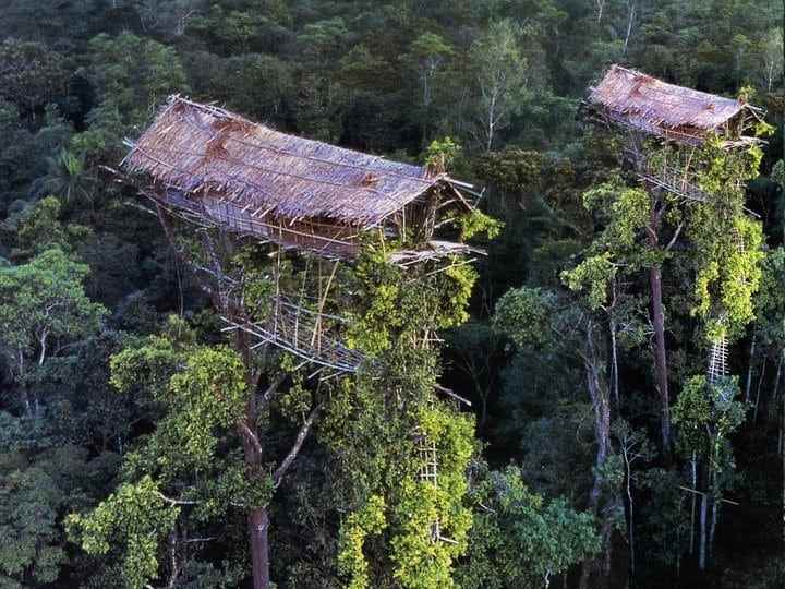 Edificaciones construidas por la tribu Korowai