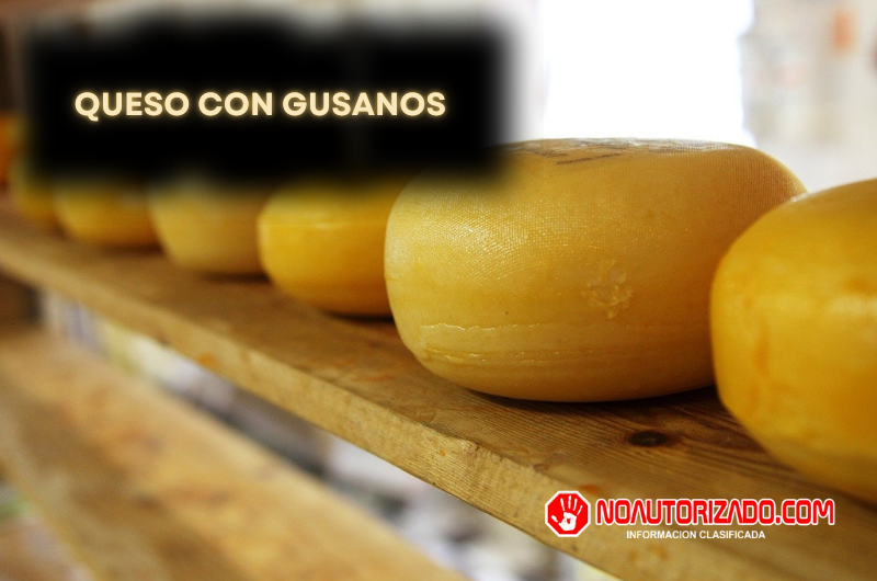 El queso con gusanos
