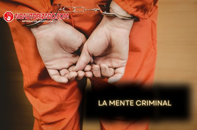 Misterios de la Mente Criminal