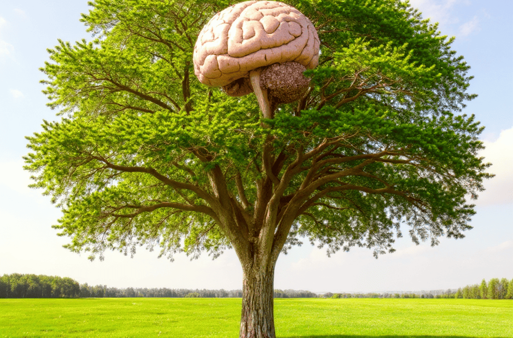 El Experimento que Demostró que los Árboles Tienen Memoria: La Evidencia que Sacudió a la Ciencia